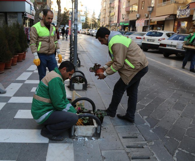 Bahçelievler Çiçeklerle Donatıldı