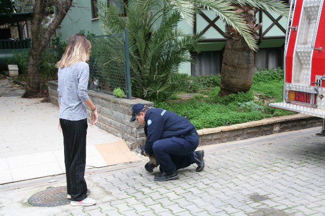 Beslenmek İçin Girdiği Otelden İtfaiye Yardımıyla Çıktı