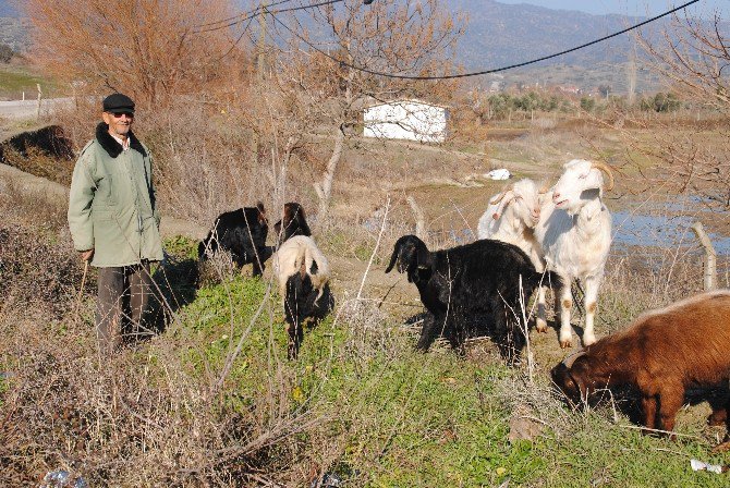 Doğuda Kar, Aydın’da Bahar