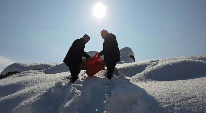 Hakkari’de Yemleme Çalışması