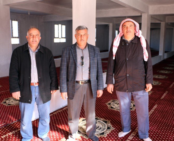 Harran Belediyesinden Cami Ve Taziye Evlerine Halı Desteği