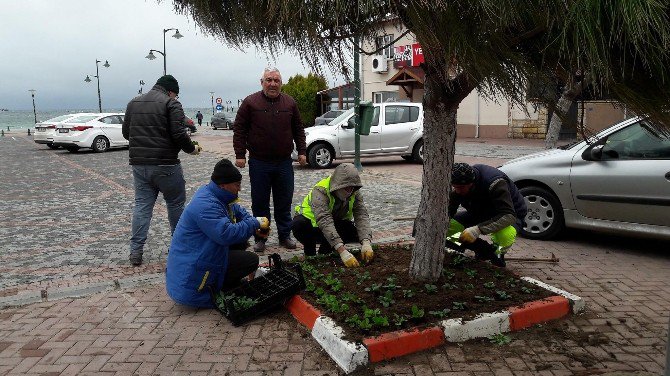 Marmaraereğlisi’nde Çiçek Dikimi Çalışmaları