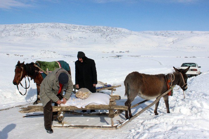 Ulaşımlarını Kızakla Sağlıyorlar