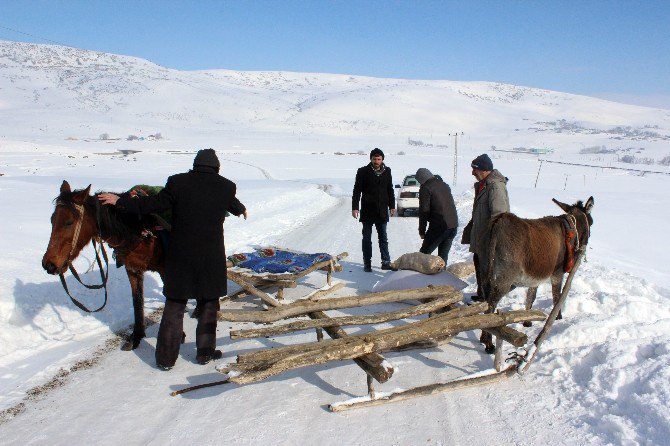 Ulaşımlarını Kızakla Sağlıyorlar