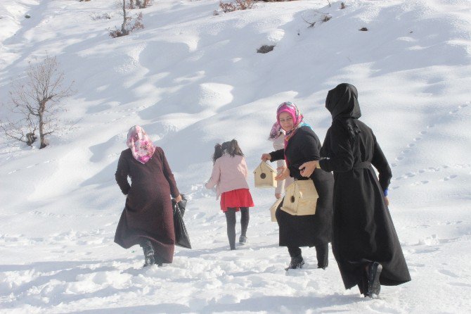 Ak Partili Kadınlar Yaban Hayvanları İçin Yem Bıraktı