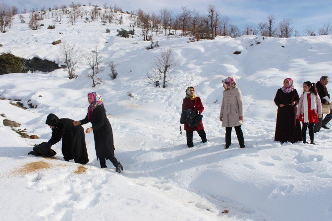 Ak Partili Kadınlar Yaban Hayvanları İçin Yem Bıraktı