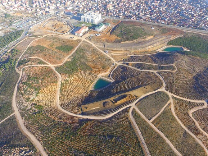 Beylikdağı, Gebze’nin Akciğeri Olacak