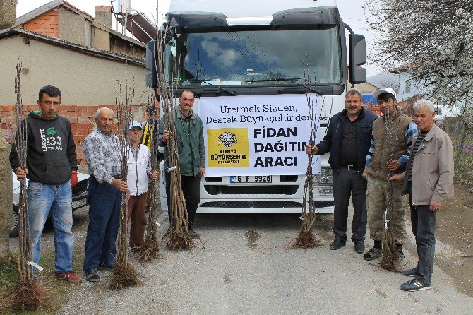 Konya’da Çiftçiye 2016’da 9,2 Milyonluk Fidan Ve Fide Desteği Sağlandı