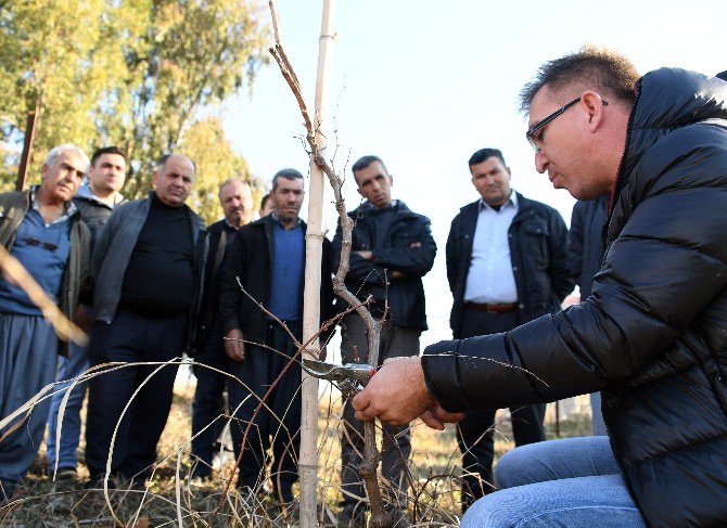 Çiftçi Bilinçleniyor, Üretim Artıyor