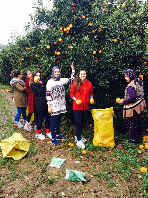 Kumlucalı Öğrenciler Muş Hasköy’e Sebze Meyve Gönderdi