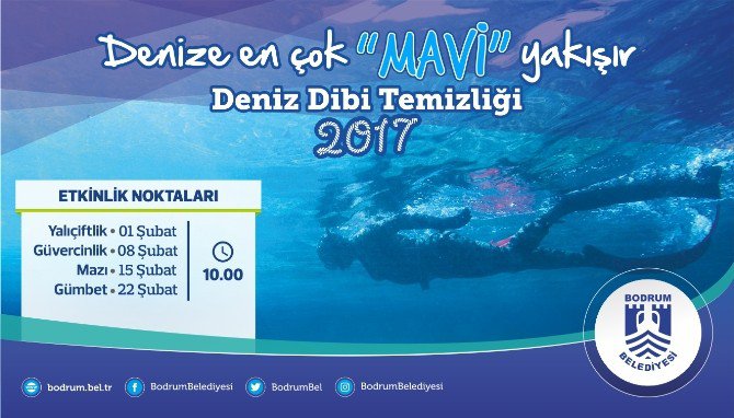 Deniz Dibi Temizlik Kampanyası Başlıyor