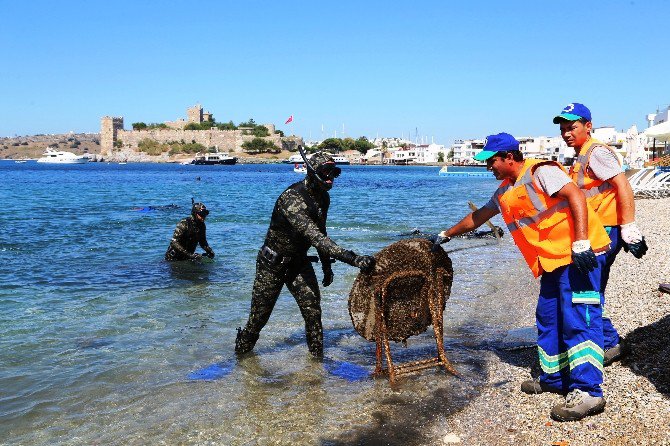 Deniz Dibi Temizlik Kampanyası Başlıyor