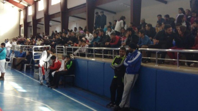 Develi’de 15 Temmuz Şehidi Murat Kocatürk Anısına Taekwondo Turnuvası Düzenledi