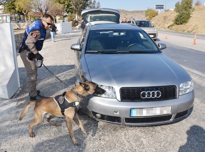 Özel Eğitimli Köpeklerden Sevkiyatlara Engel