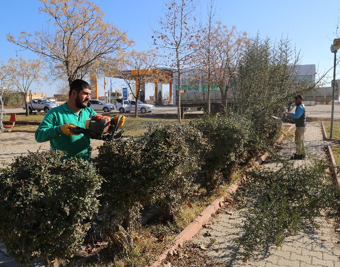 Haliliye Belediyesi Kısas Mahallesindeki Parklarda Çalışmalarını Tamamladı