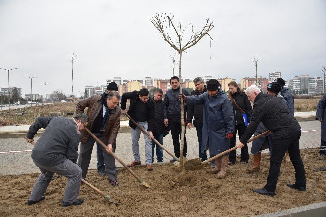 Yunusemre’de 1 Milyon Fidan Toprakla Buluşuyor