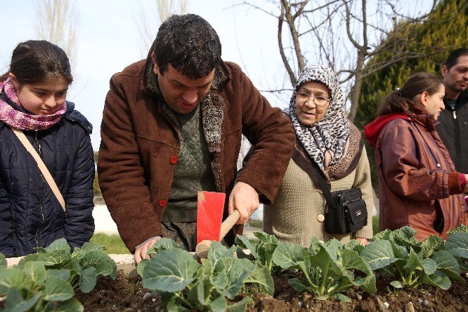 Buca’nın Engelsiz Hobi Bahçelerinde Hasat Zamanı