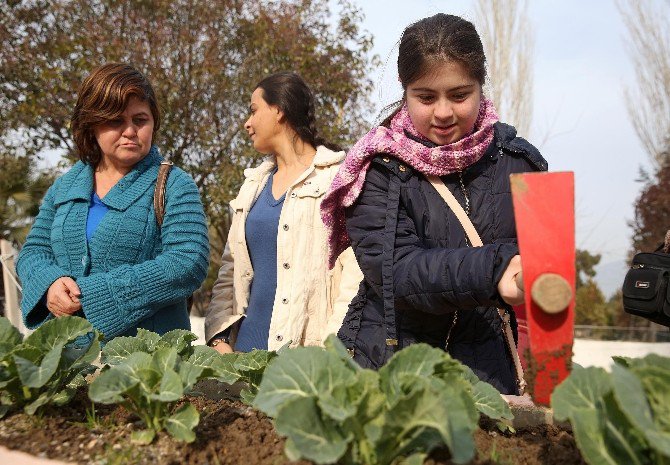 Buca’nın Engelsiz Hobi Bahçelerinde Hasat Zamanı