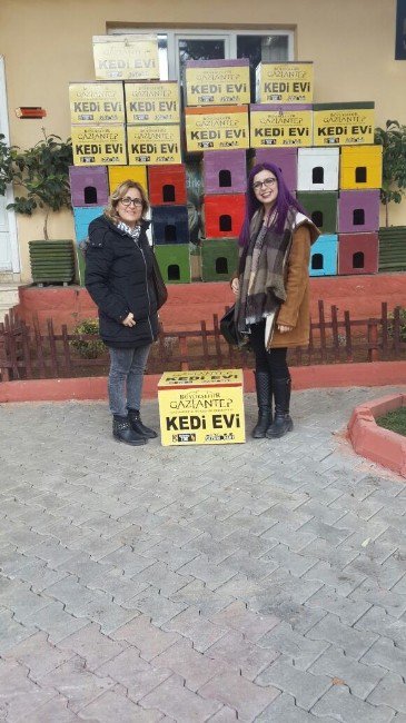 Gaziantep’te Ücretsiz Kedi Barınağı Dağıtılıyor