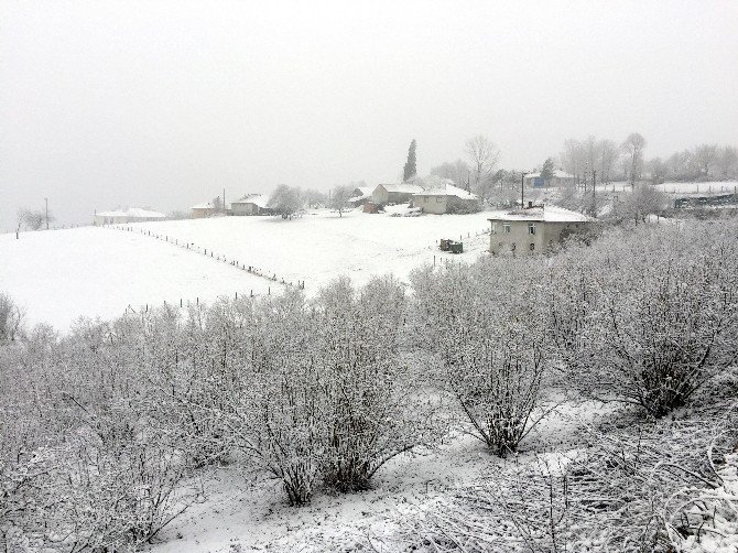 Sakarya Beyaza Büründü