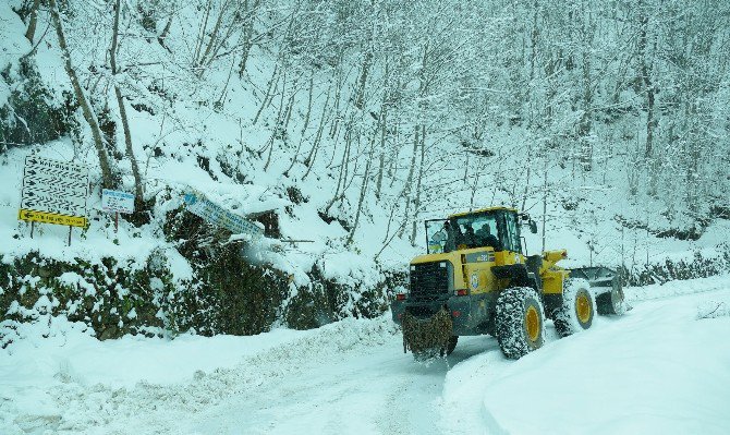 Trabzon’da Yüksek Kesimlerde Kapanan Yollar Açıldı