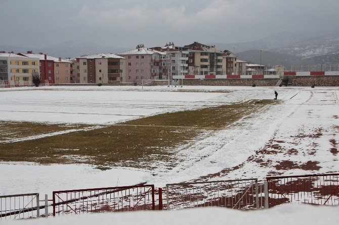 1 Kişinin Koca Stadı Temizlemesi ‘Samanlıkta İğne Aramak’ Deyimini Akıllara Getirdi