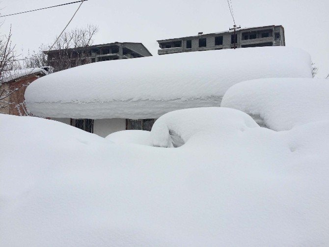 Bitlis’te 245 Köy Yolu Ulaşıma Kapandı