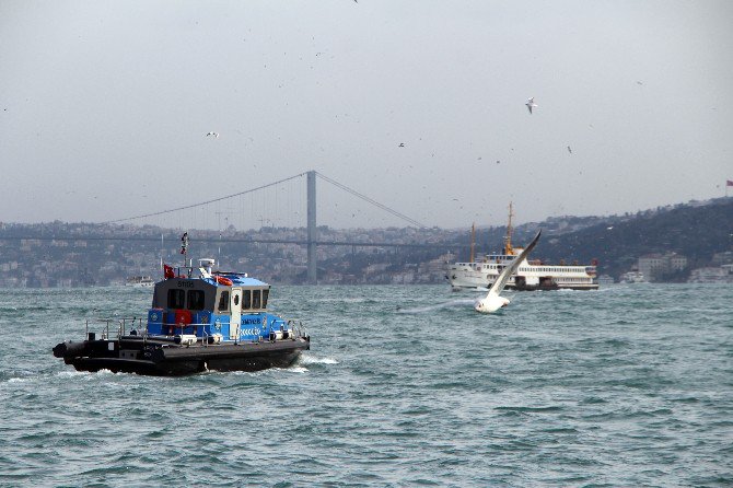 Annesinin Denize Attığı Bebeği Arama Çalışmaları Bugün De Devam Ediyor