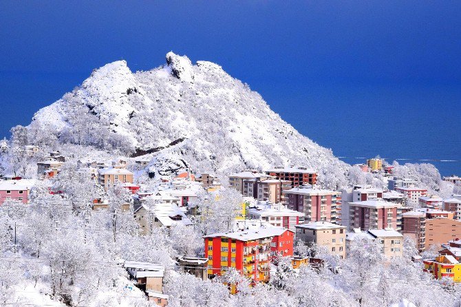 Giresun’da Kar Yağışı 449 Köy Yolunu Ulaşıma Kapattı