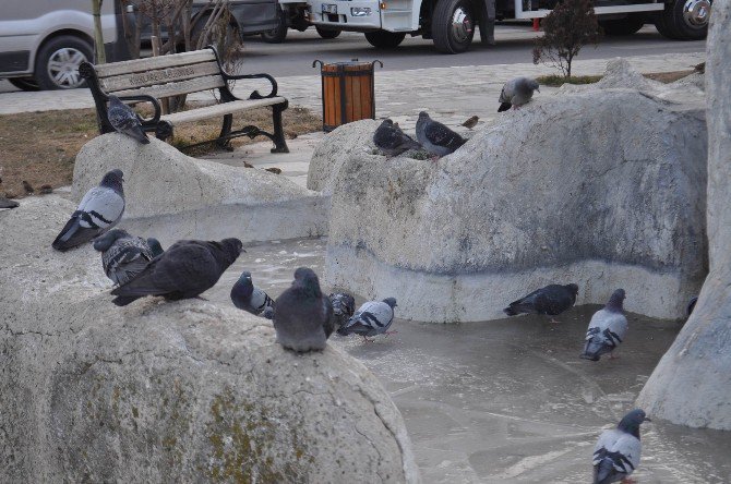 Kırklareli’nde Süs Havuzları Buz Tuttu