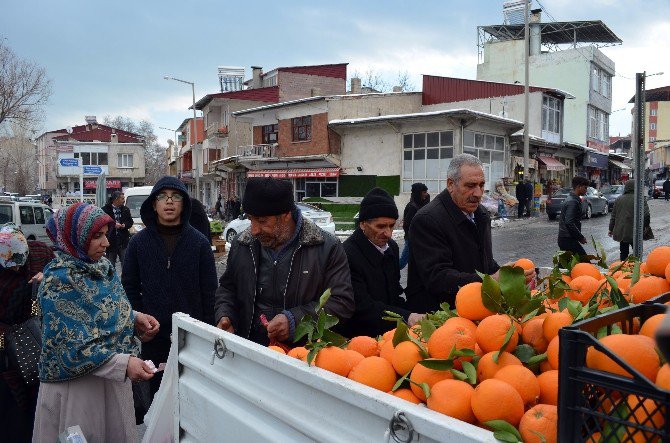 Mandalina Ve Portakal Satışı Esnafın Yüzünü Güldürdü