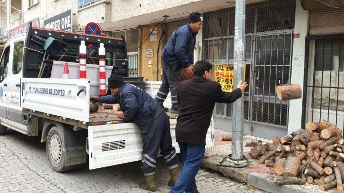 Budanan Ağaçlar İhtiyaç Sahiplerine Veriliyor