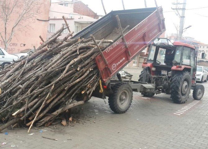 Budanan Ağaçlar İhtiyaç Sahiplerine Veriliyor