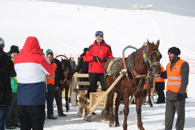 Uludağ’da Kızaklı At Yarışları Nefes Kesti, Snowboard Yarışları İlgiyle İzlendi