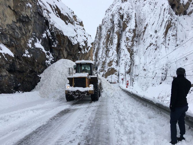 Hakkari-van Karayoluna 4 Noktada Çığ Düştü