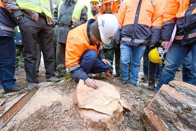 Orman Bölge Müdürlüğü’nün Eğitim Tatbikatları Sona Erdi