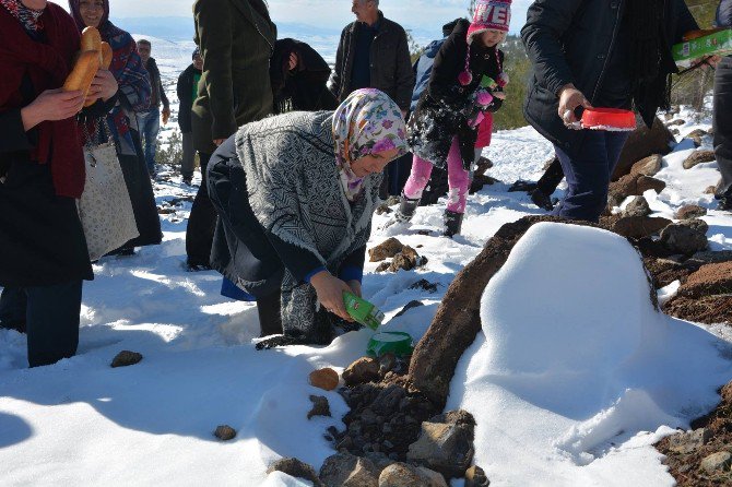 Kilis Belediyesinden Doğa Hayvanlarına Gıda Takviyesi