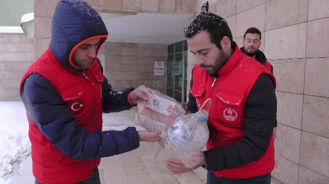 Gençlik Liderleri Sokak Hayvanlarına Yem Bıraktı