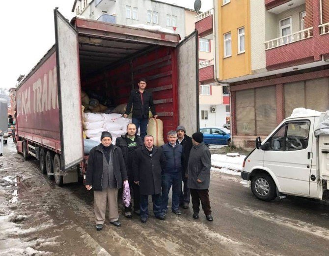 Fatsa Müftülüğünden Halep’e Yardım