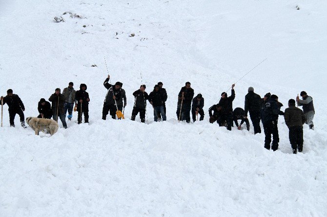 Çığ Altında Kalan İkinci Şahsın Cesedine Ulaşıldı