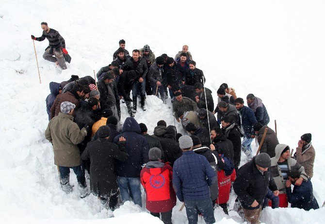 Çığ Altında Kalan İkinci Şahsın Cesedine Ulaşıldı