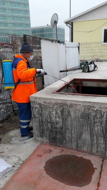 Büyükşehir Belediyesi Karasinek Ve Sivrisineklere Karşı Kışlak İlaçlama Çalışması Yapıyor