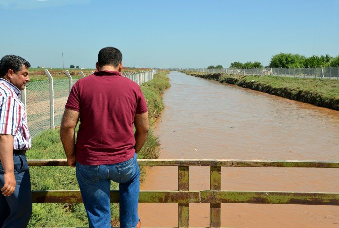 Dicle Elektrik İsrafı Fotoğrafladı