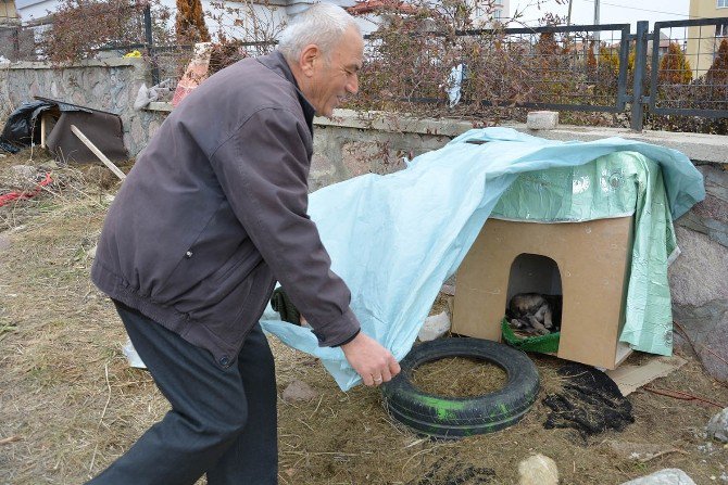 Uşaklı Emekli Öğretmen ’Yemek Çöpe Gitmesin’ Çağrısı