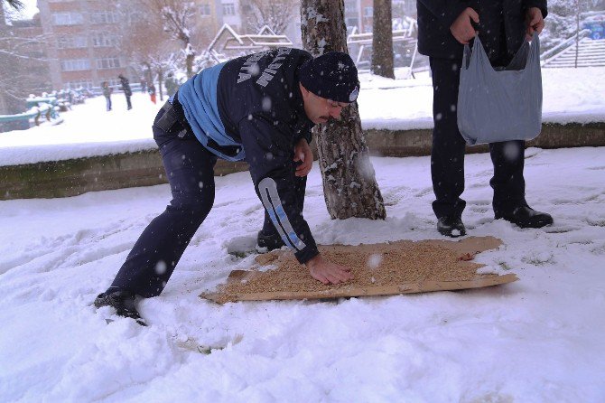 İlkadım Belediyesi Sokak Hayvanlarını Unutmadı