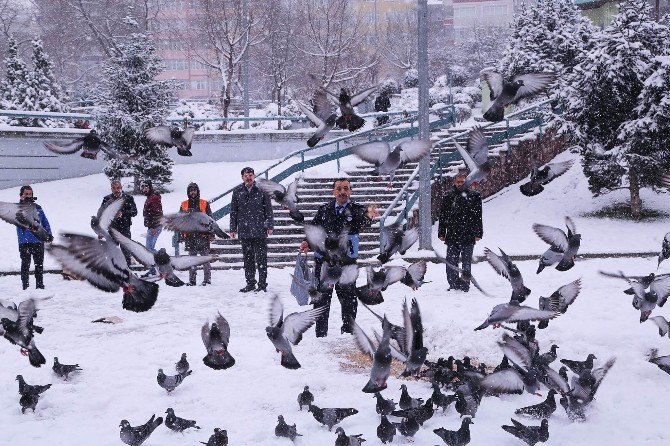 İlkadım Belediyesi Sokak Hayvanlarını Unutmadı