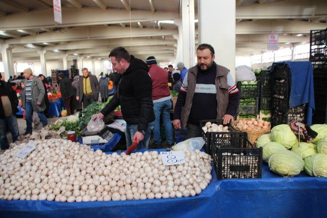 Kararan Kültür Mantarını Tüketmeyin