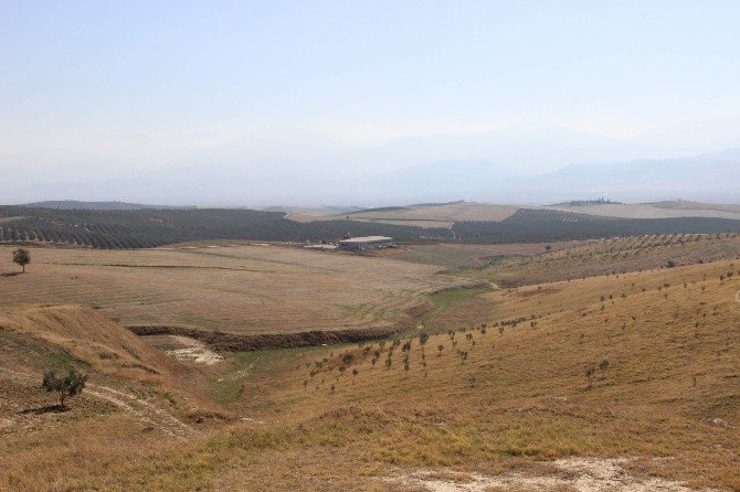 Salihli Osb 2. Etapta Arsa Tahsisleri Başlıyor