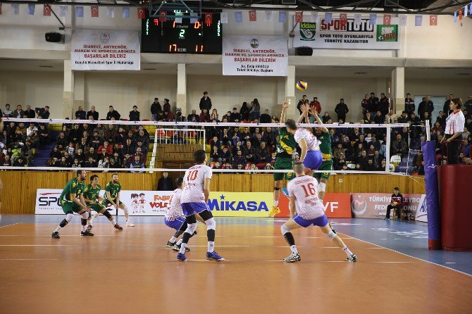 Voleybol Efeler Ligi