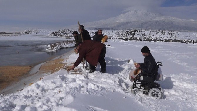 Ağrı Dağı Eteklerinde Hayvanlar İçin Yem Bırakıldı